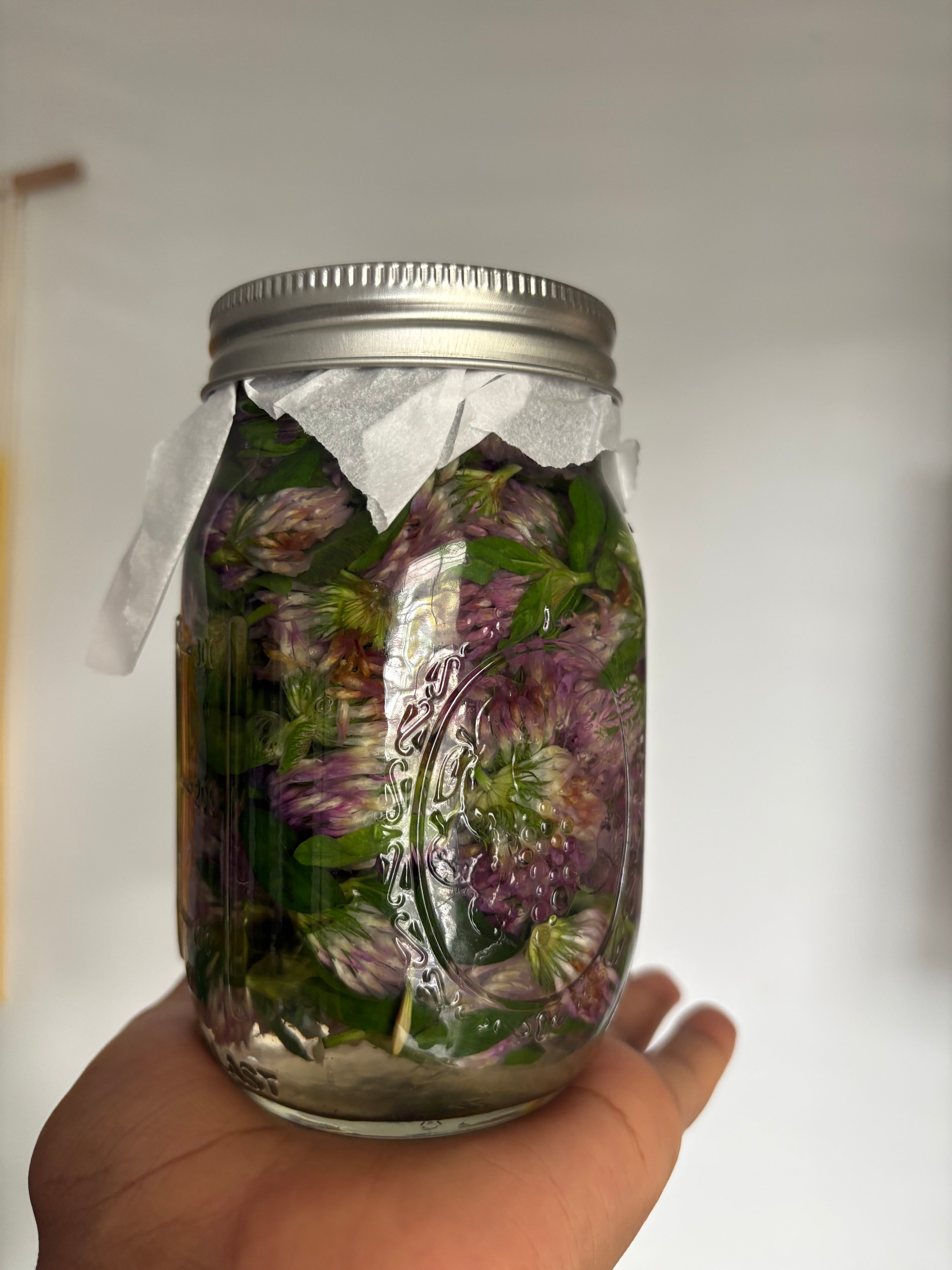 Red Clover Tincture